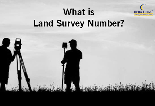What is Land Survey Number?