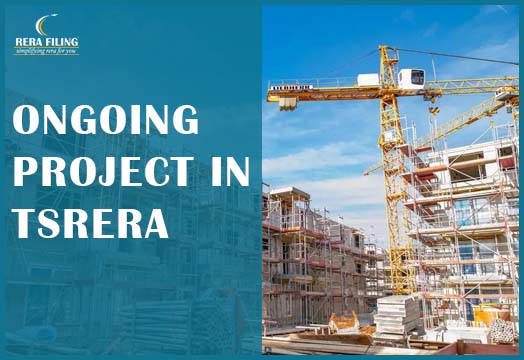 Ongoing Project in TSRERA