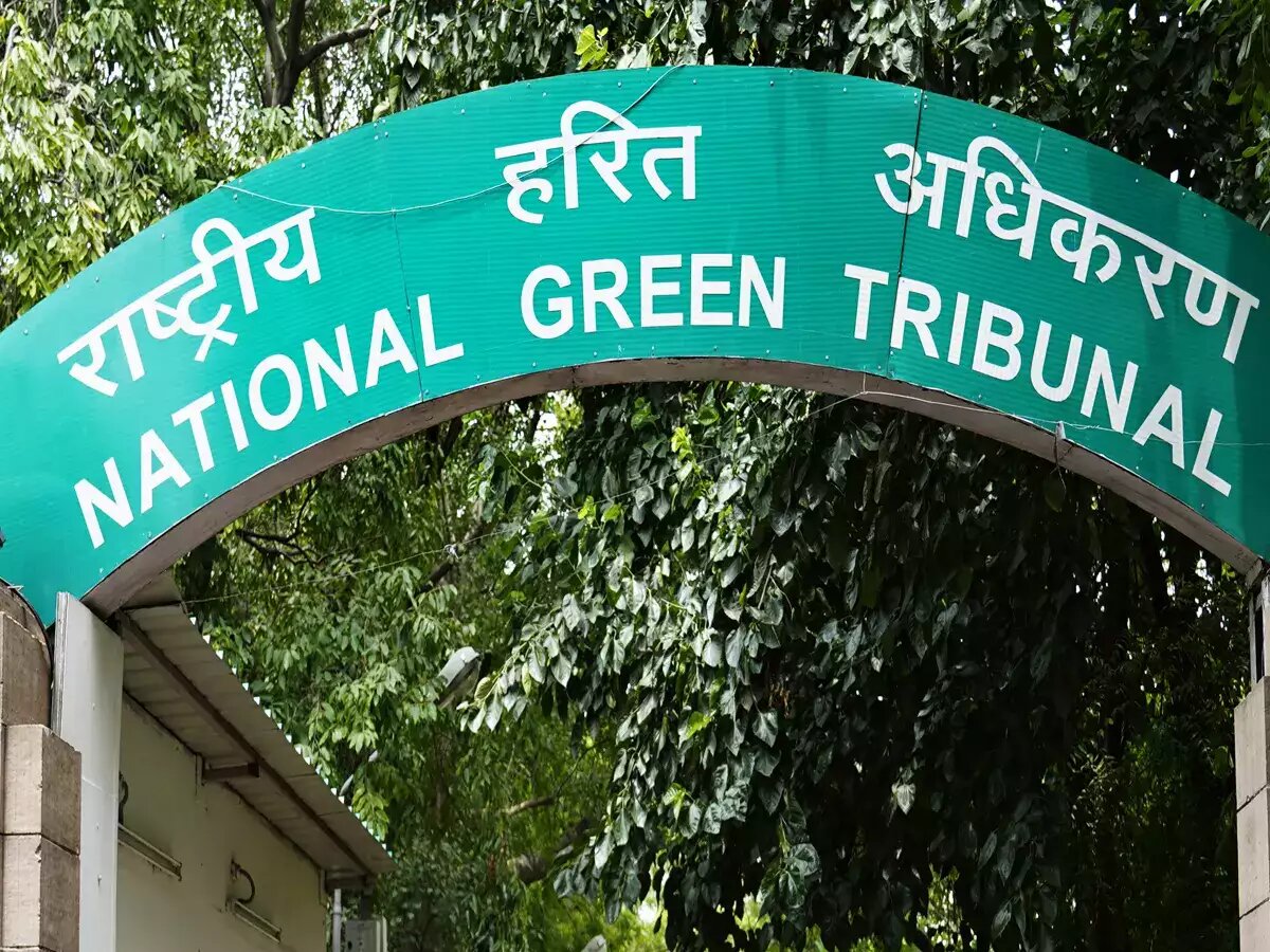 Ghaziabad: NGT directs Nipun Builders & Developers not to continue with its group housing project